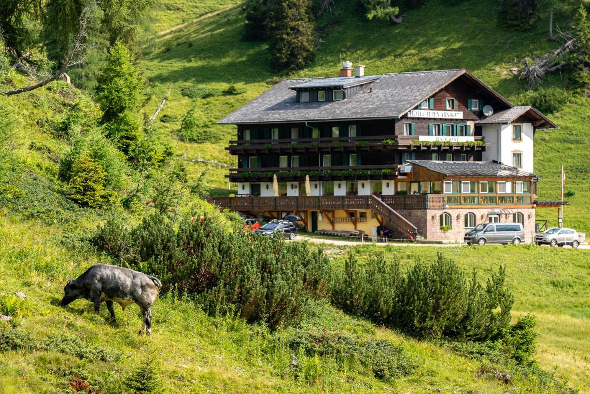 Hotel Alpen Arnika Tauplitzalm Exterior photo